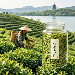 新手入门茶叶预算500元,不同产区性价比推荐