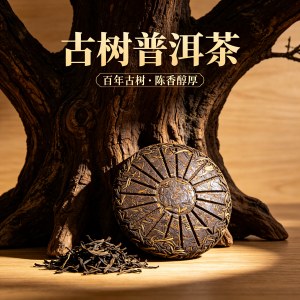 中年人群怎么根据体质,选熟茶还是生普洱茶